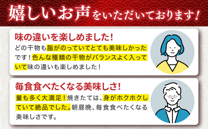 【全6回定期便】ひものや つかもとの旬のおまかせ干物詰め合わせ《梅》 [JDR010] 干物 ひもの みりん干し おまかせ 詰め合わせ アジ あじ いわし イワシ イカ 78000 78000円