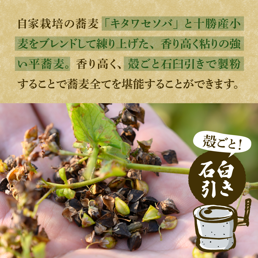 北海道十勝芽室町 BITO LABOとかち豊穣（ほうじょう）そば　200g×6 me004-002c