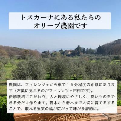 ふるさと納税 袋井市 人気NO.1 農家ができる最高品質のEVOO 2本　【5月中旬より発送】 |  | 01