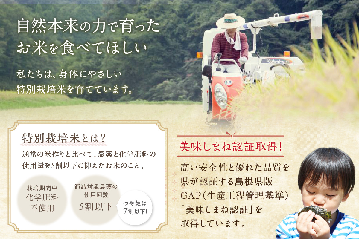 【定期便】【令和８年産】弥栄町産特別栽培米「秘境奥島根弥栄」こしひかり5kg（6回コース） 米 お米 こしひかり 特別栽培米 精米 白米 ごはん 定期 定期便 6回 新生活 応援 準備 お取り寄せ 特