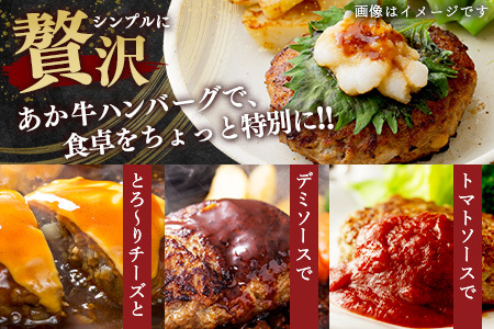 《年末発送 受付中》GI認証 くまもと あか牛 ハンバーグ《ご家庭用》150g×10個 あか牛100％ 赤身 冷凍 熊本県産 あかうし はんばーぐ 惣菜 おかず 和牛 牛肉 年内発送 年内配送 年末年