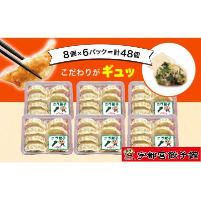 ふるさと納税 さくら市 宇都宮餃子館のニラ餃子8個入り×6パック(計48個)