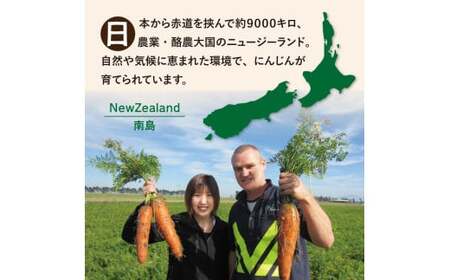 砂糖不使用 人参りんご 195g×30本 順造選｜にんじんジュース [0429ch]