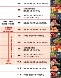  海の幸 定期便【全６回】 漁師町 尾鷲 からお届け！ 厳選 サーモン ブリ マグロ ネギトロ えび タコ ＜300セット限定＞ 小分け バラ凍結 ストック 便利 新鮮 鮮魚 さかな たっぷり 家庭用