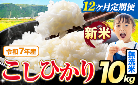【12ヶ月定期便】令和7年産 新米 こしひかり 10kg 定期便《お申込み月の翌月から出荷開始》熊本県産 ふるさと納税 無洗米 精米 ひの 米 こめ ふるさとのうぜい コシヒカリ コメ お米 おこめ