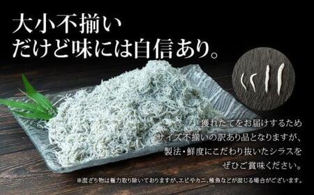 訳あり 釜揚げ しらす 1.5kg 冷凍 小分け 500g × 3パック しらす パック しらす 駿河湾 の恵み シラス サイズ不揃い