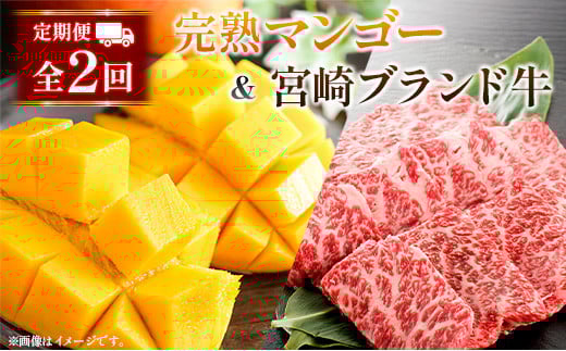 定期便 完熟マンゴー 2L×2玉 & 宮崎ブランド牛 計1kg 全2回 宮崎特産 牛肉 フルーツ 果物