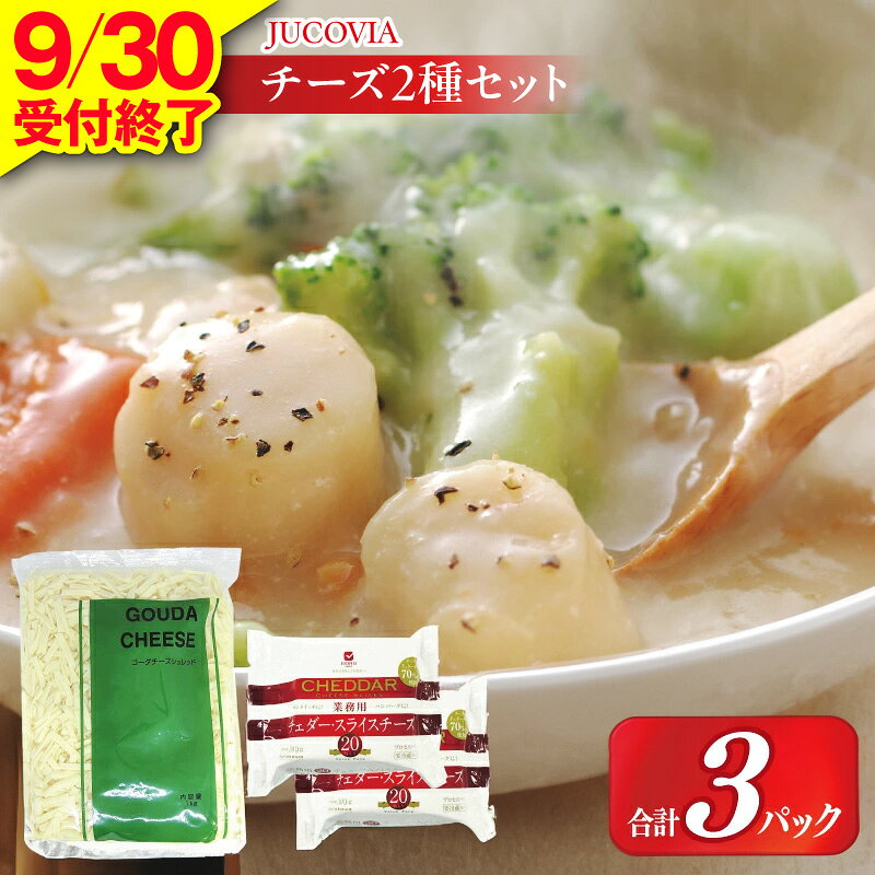 【ふるさと納税】【9月30日受付終了】 ムラカワチーズ JUCOVIA 業務用 チェダースライスチーズ 20枚 × 2パック オランダゴーダーシュレッド 1kg チーズ 2種 セット 乳製品 サンドイッチ お取り寄せ 大阪府 泉佐野市 送料無料