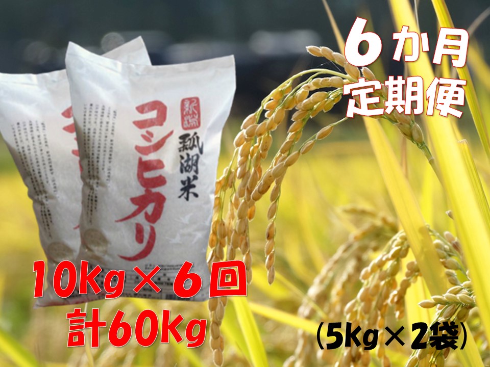 【令和6年産新米】【6ヶ月定期便】新潟産 コシヒカリ「瓢湖米」 10kg×6回 1N12125