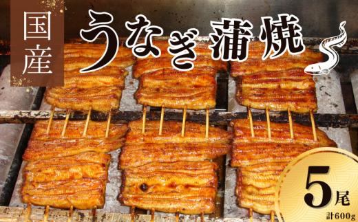 鰻 国産 鰻蒲焼 約120g×5パック たれ 山椒付