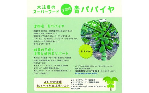 ＜先行予約＞ 酵素の王様 フレッシュ 青パパイヤ 合計3kg (約500g×5～6個)  パパイヤ ビタミン ミネラル アミノ酸 食物繊維 ポリフェノール 野菜 食品 F20E-697