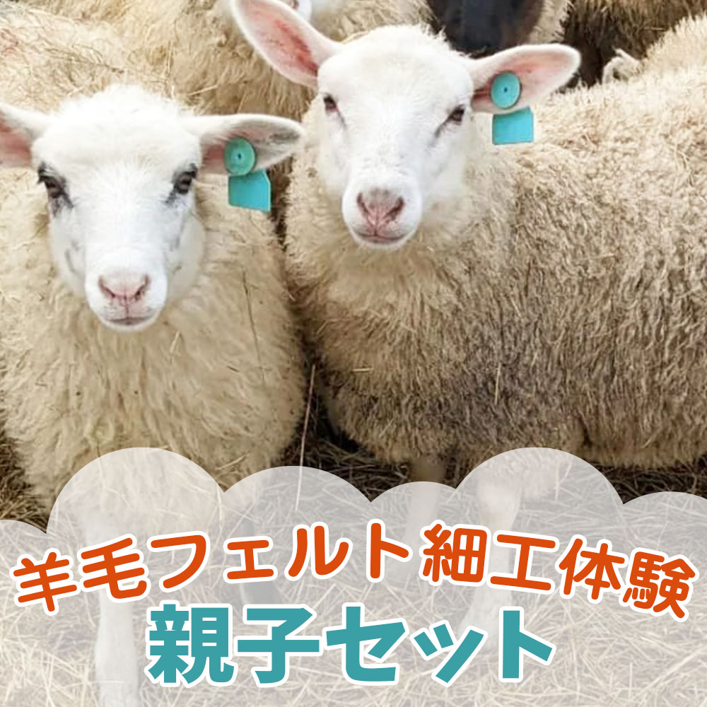 【ふるさと納税】ヒツジと触れ合いながらゆっくり、のんびり羊毛フェルト細工体験 親子セット