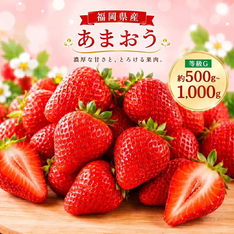 【ふるさと納税】あまおう 等級G 約500g(2パック)/約1kg(4パック) 選べる内容量 1パック約250g 先行受付 事前予約 いちご 苺 フルーツ 果物 福岡県産 冷蔵 送料無料【2027年2月上旬～3月下旬に順次発送予定】