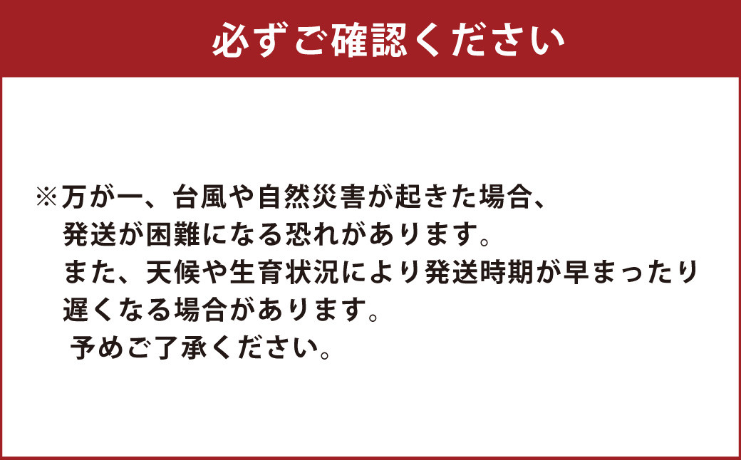 熊本県ＪＡくま産　球磨の栗　利平 2kg(2L以上)
