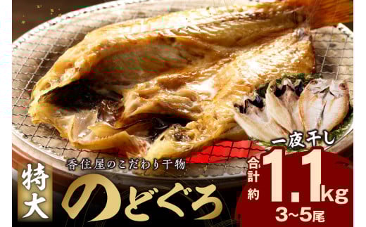 【年内配送】山陰浜田 香住屋のこだわり干物「特大のどぐろ一夜干し」（3～5尾） 魚 一夜干し 干物 のどぐろ アカムツ 天然 加工品 ギフト 贈り物 【024_1981】