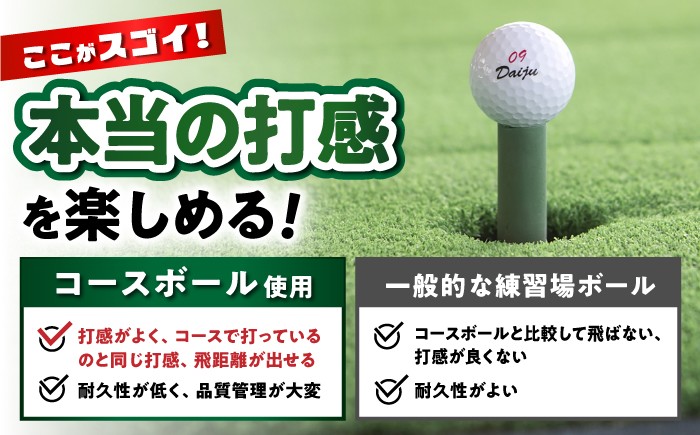 愛知県 瀬戸市 ゴルフ 練習場 利用券 チケット 大樹 瀬戸店 シミュレーションゴルフ 打ちっぱなし 打ち放題 golf