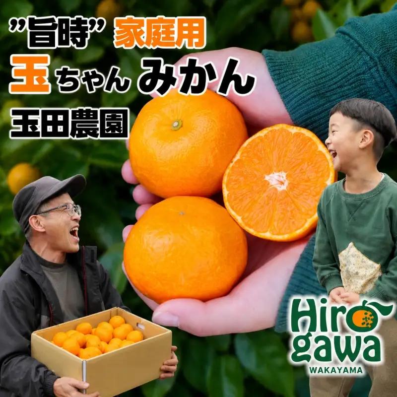 有田 みかん 旨時 体に優しい玉ちゃんみかん 2kg / 温州みかん 有田みかん 甘い 和歌山 柑橘 ※2026年12月初旬～2027年2月中旬に順次発送 【tmd004-cu-2】