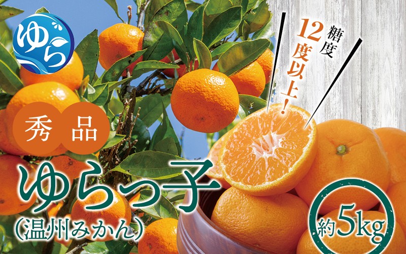 
            【糖度12度以上！】温州みかん「ゆらっ子」5kg ※2025年12月初旬頃～順次発送予定(お届け日指定不可) / 温州 密柑 JA 糖度 甘い 光センサー ゆらみかん 由良町 ミカン ブランド認定 柑橘 期間限定 和歌山県産【jahd003】
          