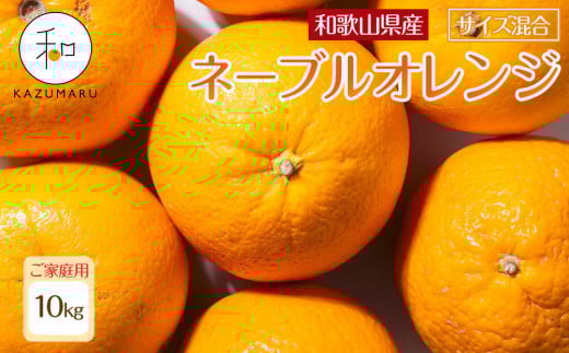 家庭用 森本農園の手選別ネーブルオレンジ 10kg 和歌山県産 サイズ混合 ［北海道・沖縄・離島配送不可］［RN35］［2026年1月上旬から順次発送］