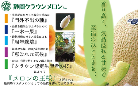 メロン 白等級 2玉 フルーツ 果物 くだもの 季節のフルーツ メロン