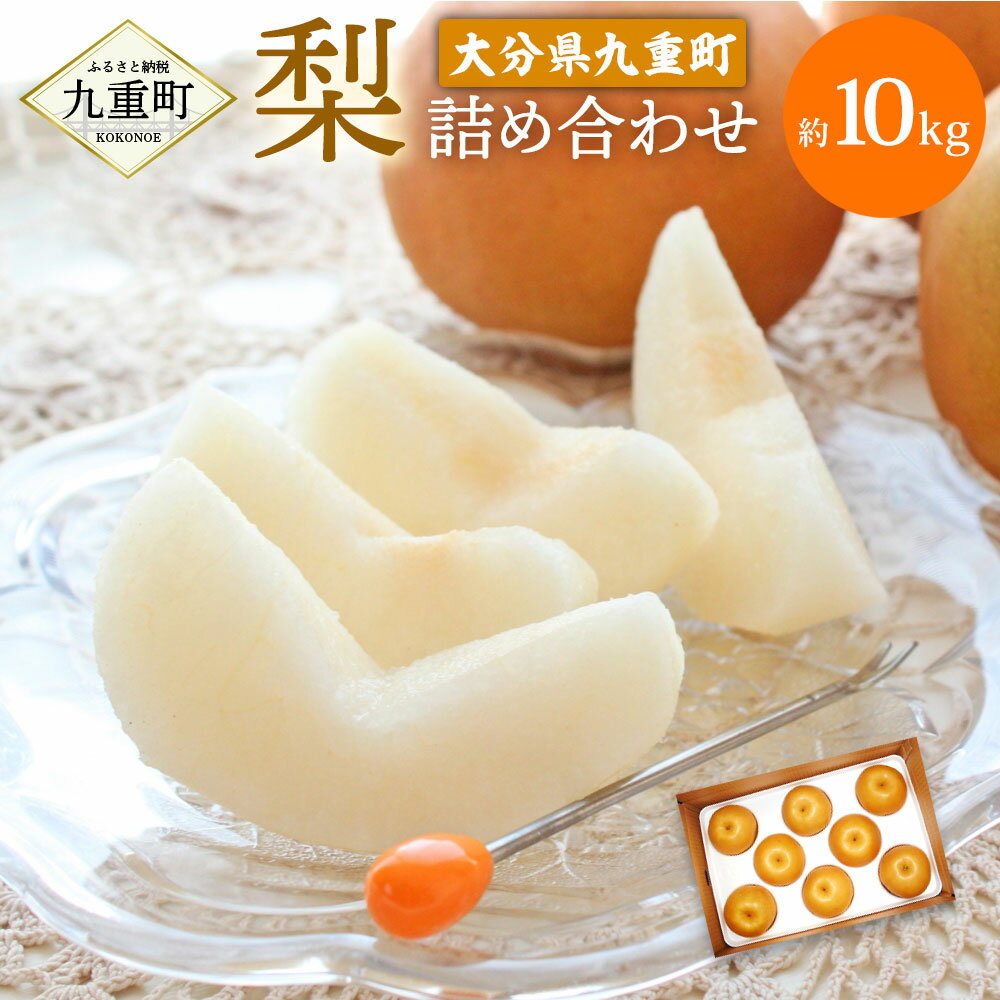 【ふるさと納税】大分県九重町(ここのえまち)産 梨詰め合わせ 約10kg 豊水 秋月 新高 いずれか一種 果物 くだもの フルーツ 旬 ナシ なし 送料無料 【2025年8月下旬-10月下旬発送予定】