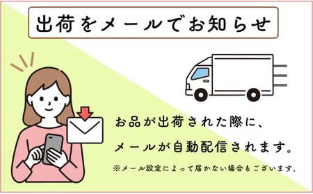 【通年12回】佐賀牛季節のオススメ定期便 ファミリー向け 牛肉 牛肉定期便 黒毛和牛 牛肉定期便 50万円 牛肉定期便 N500-8