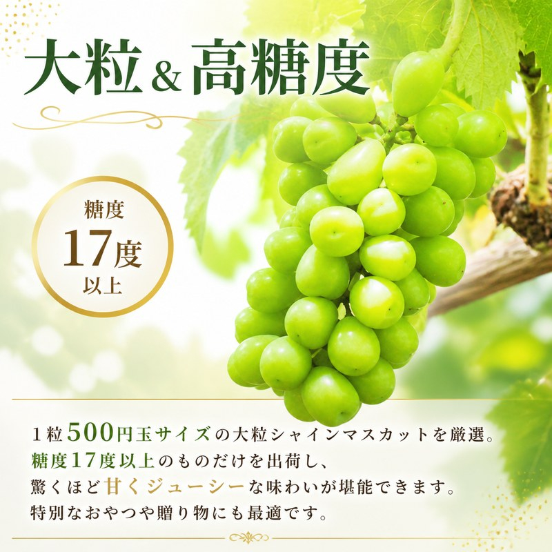 【2027年発送】 朝採りシャインマスカット 1房(約700g) 名峰讃岐富士育ち 煌めきの果実 マスカット シャインマスカット ぶどう 葡萄 ブドウ フルーツ 果物 くだもの 果実 フルーツ 旬 旬