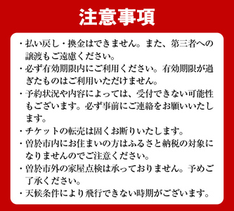 【操縦体験】ドローンを飛ばしてみよう！（2名・2時間コース）体験 ドローン 体験チケット【内山測量設計】D38