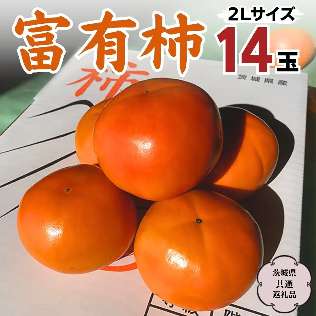 富有柿 2L 14玉 (桜川市・石岡市共通返礼品) 果物 くだもの フルーツ 柿 かき 2026年11月中旬以降発送 [DC003sa]