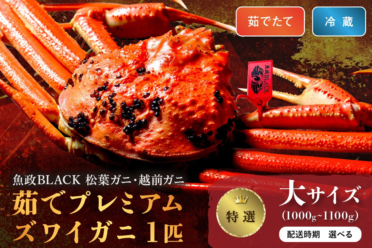 
            【蟹の匠 魚政】茹で　プレミアムズワイガニ 魚政BLACK（松葉ガニ・越前ガニ）特撰 大サイズ（1000～1100g） 1匹　松葉蟹 蟹 かに カニ ガニ がに ボイル まるごと 海産物 海鮮 魚介 魚介類 甲殻類 海の幸 小 京都 京丹後 京丹後市 ふるさと納税 蟹 送料無料　UO01298・UO01299
          