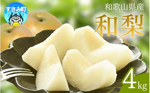 [数量限定] 和歌山県産の梨約4kg(品種おまかせ) ※8月下旬～9月下旬頃発送予定 / フルーツ 果物 くだもの 梨 ナシ 和歌山 おすすめ 人気【tec966B】