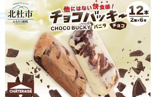 【シャトレーゼ】チョコバッキーバニラ＆チョコ詰合せ12本入　シャトレーゼ チョコバッキー 12本入り アイス 詰め合わせ セット バニラ＆チョコ バニラ チョコ 2種類 チョコ好き デザート おすすめ 人気 山梨県 北杜市