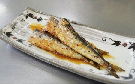 氷見・江政商店の氷見の魚そうざい詰め合わせ　【魚貝類・加工食品・惣菜・いわし・スルメイカ・イワシ・鰯】