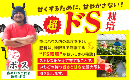 贈答用 完熟さぬき姫 約1.0kg | いちご 苺 さぬき姫 さぬきひめ 香川県オリジナル 希少 甘い 完熟 フルーツ 果物 旬 香川県 三木町 |_mk035-005