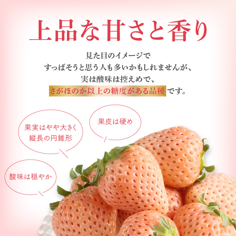 ★予約受付★杉山いちご農園 玄海町産いちご“淡雪（あわゆき）”　毎月定期便 定期便（1箱2パック）