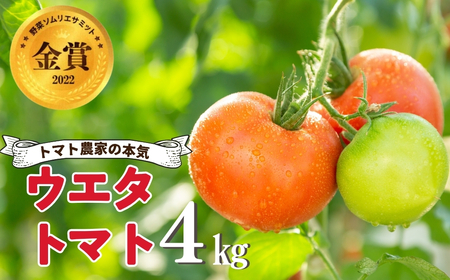 《先行予約》 濃厚！ウエタトマトのトマト 4kg