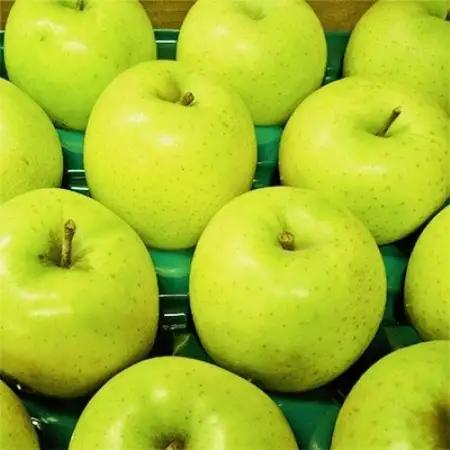 生産者しか知らない味 パリッと、シャキッと もぎたて王林 約3kg(6～11玉)【訳あり】【配送不可地域：離島・沖縄県】【2002538】