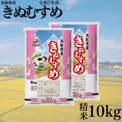 ふるさと納税 湯梨浜町 鳥取県産きぬむすめ◇精米10kg◇令和7年産(387KZ.)