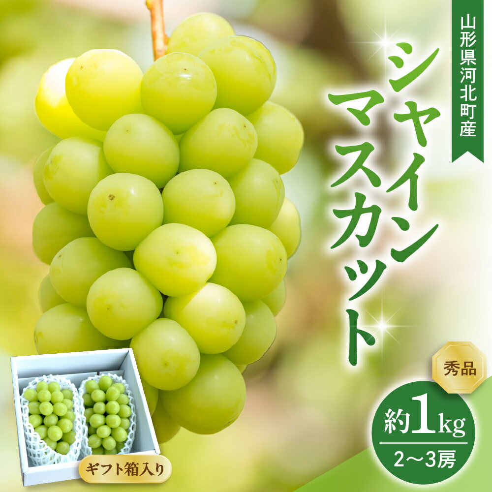 【ふるさと納税】【令和7年産】 ぶどう シャインマスカット 2～3房 約1kg ギフト箱入り 秀品 山形県河北町産 【山形eLab】 葡萄 ブドウ マスカット フルーツ 果物 くだもの お取り寄せ グルメ 産地直送 山形県 河北町