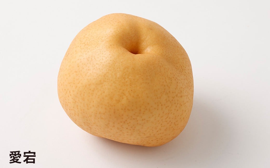 浅岡農園の梨 約5kg