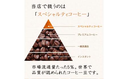 味が選べるスペシャルティコーヒー（浅煎り～深煎り7段階/インドネシア400g）【粉】 1番シナモン：酸味が強い