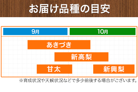 【先行予約】旬の梨 約3kg 梨
