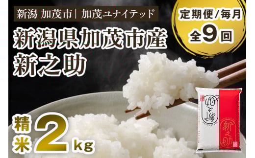 【令和7年産新米先行予約】【定期便9ヶ月毎月お届け】新潟県産 新之助 精米2kg 《2kg×1袋》《10月上旬から順次発送》 新潟 ブランド米 加茂市 加茂ユナイテッド