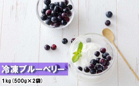 【期間限定配送】 ブルーベリー 冷凍 500g × 2袋 1kg [農林産物直売所 美郷ノ蔵 宮崎県 美郷町 31ab0090] 国産 手摘み 小分け ヨーグルト 宮崎県産 おやつ お菓子 朝ごはん 朝ご飯