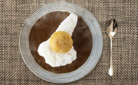 淡路島玉ねぎがまるごと１玉入った『淡路島玉ねぎまるごとカレー』10食セット