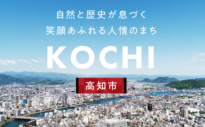 【高知市】 日本旅行 地域限定旅行クーポン60,000円分 /5年間有効 高知市 旅行 ホテル 航空券 JR券に使用可能 【株式会社日本旅行】 [ATHI003]