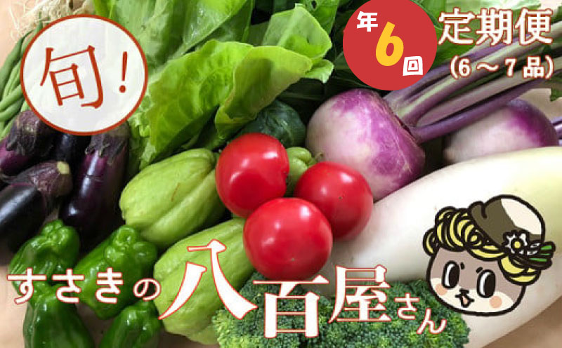 定期便 6回 6～7種類 程度 野菜 詰め合せ セット