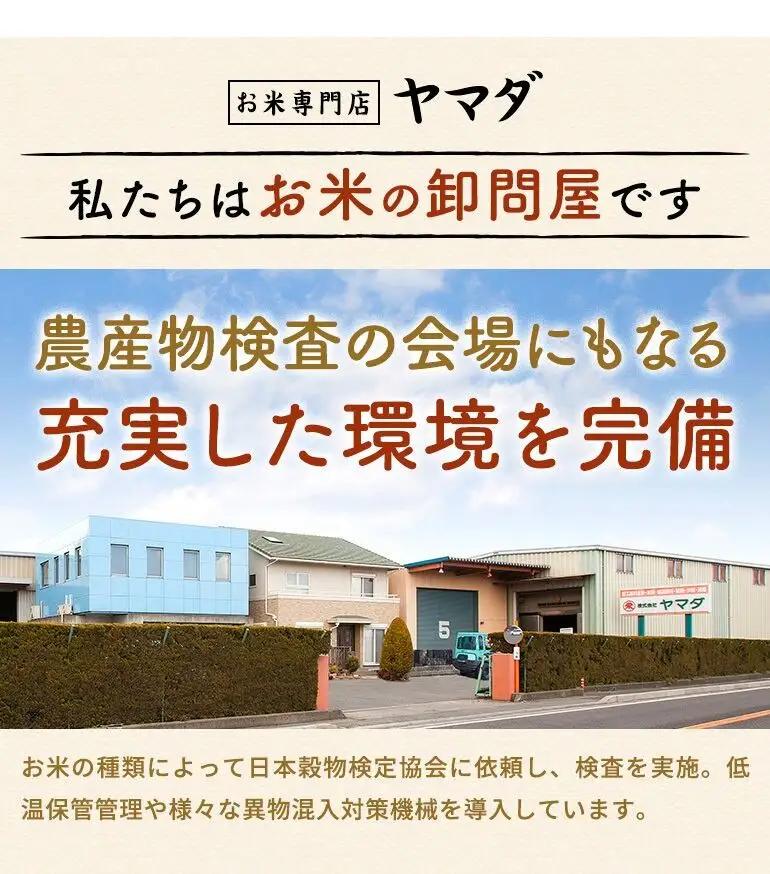 【 訳あり 】 近江ブレンド米 特選 白米 10kg