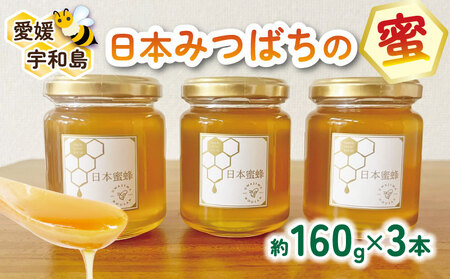 ＼10営業日以内発送／ 国産はちみつ 日本みつばち の 蜜 160g × 3本 セット 非加熱 宇和島農産 ハチミツ 国産蜂蜜 国産純粋はちみつ 蜂蜜 はちみつ ハニー honey 人気ハチミツ 日本蜜蜂 ニホンミツバチ 純粋はちみつ 生はちみつ 常温 保存 備蓄 防災食 非常食 保存食 産地直送 国産 愛媛 宇和島 F020-132011