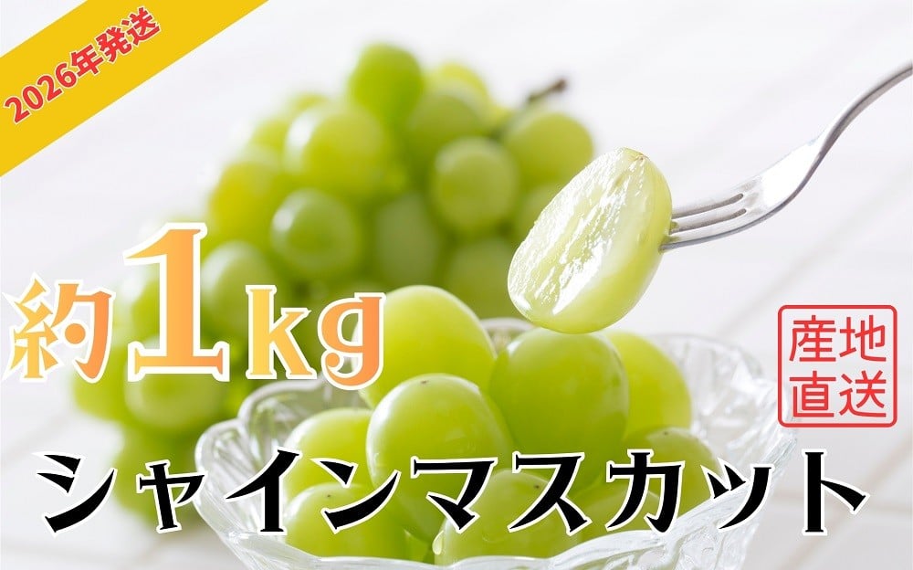 
            【神石高原町産】令和８年産シャインマスカット１ｋｇ【数量限定】
※寄付金の使い道を選択メニューにて「ｎ ｉ ｎ ａ 神 石 高 原」を選択してください。
          